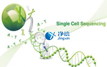 中國人自己的單細胞測序儀來了！,Drop-seq